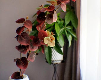 May include: A white vase holds a decorative plant with burgundy and green leaves. The plant's stems curve gracefully, contrasting with the vase's smooth, glossy surface. A green plant is in the background.