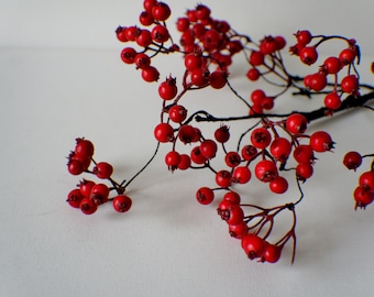 May include: A branch of red berries with dark brown stems against a white background.
