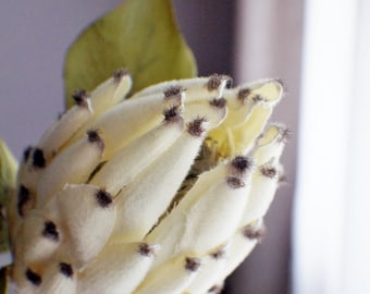 Elfenbein-künstlicher Protea-Blütenstiel: Hochzeitsstrauß-Tischdekor