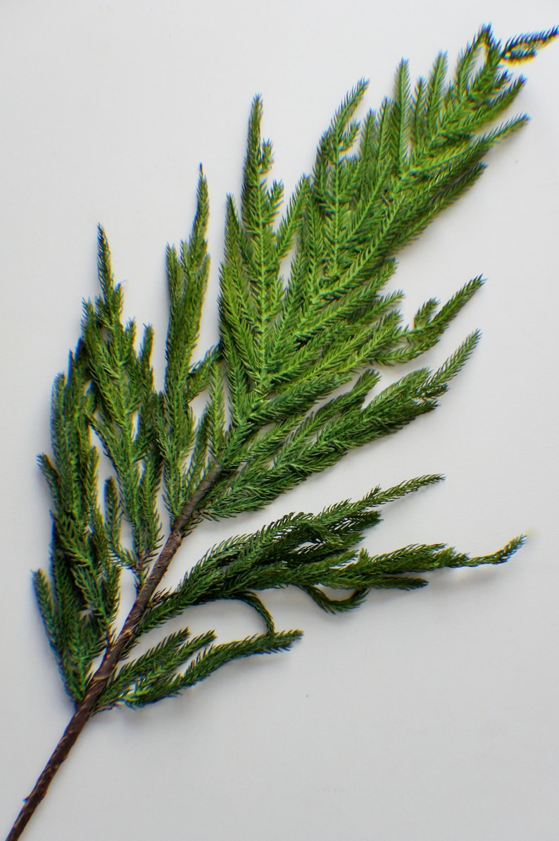 May include: A sprig of green artificial foliage with a brown stem. The foliage is made to look like a pine tree branch.