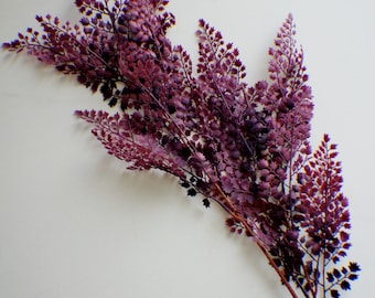 Bordeaux Lace Fern stem in Fresh Green Faux Fern Stem, Artificial Fern Artificial Flowers, Vase Filler Greenery Bouquet Greens Wreath making
