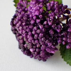 May include: A close-up of a purple flower with green leaves. The flower is made up of many small, tightly packed blooms.