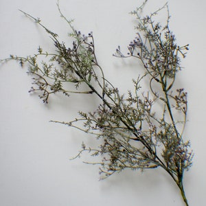 Mossy Lace Fern stem in Fresh Green Faux Fern Stem, Artificial Fern, Artificial Flowers, Vase Filler, Greenery, Bouquet Greens Wreath making