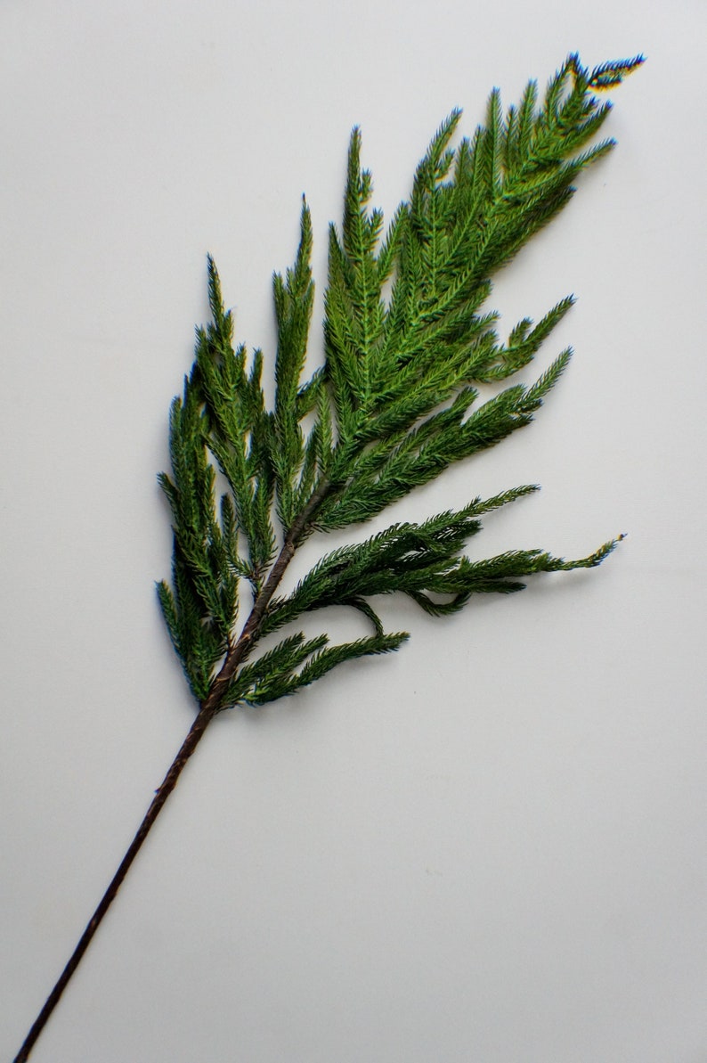 May include: A single artificial pine branch with a brown stem.