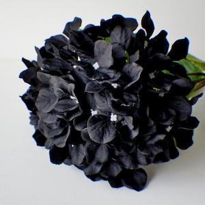 30&quot; Black Silk Hydrangea Stem: DIY Wedding Flowers