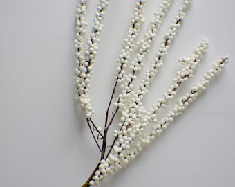 May include: A white berry sprig with multiple branches and small white berries. The sprig is on a white background.