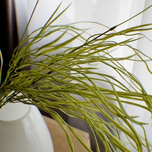 以下が含まれることがあります： 長い細い首を持つ白い陶器の花瓶に、緑色の乾燥した草のような茎の束が挿されています。