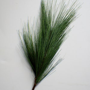 May include: A single green pine sprig with a brown stem. The sprig is isolated on a white background.