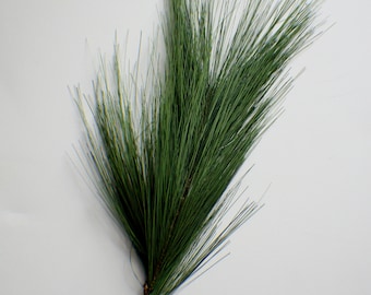May include: A single green pine sprig with a brown stem. The sprig is isolated on a white background.