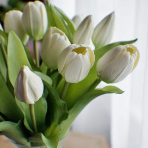 May include: A bunch of white tulips with green leaves in a clear glass vase. The tulip petals have a slight yellow hue at the centre. The vase is tied with twine.