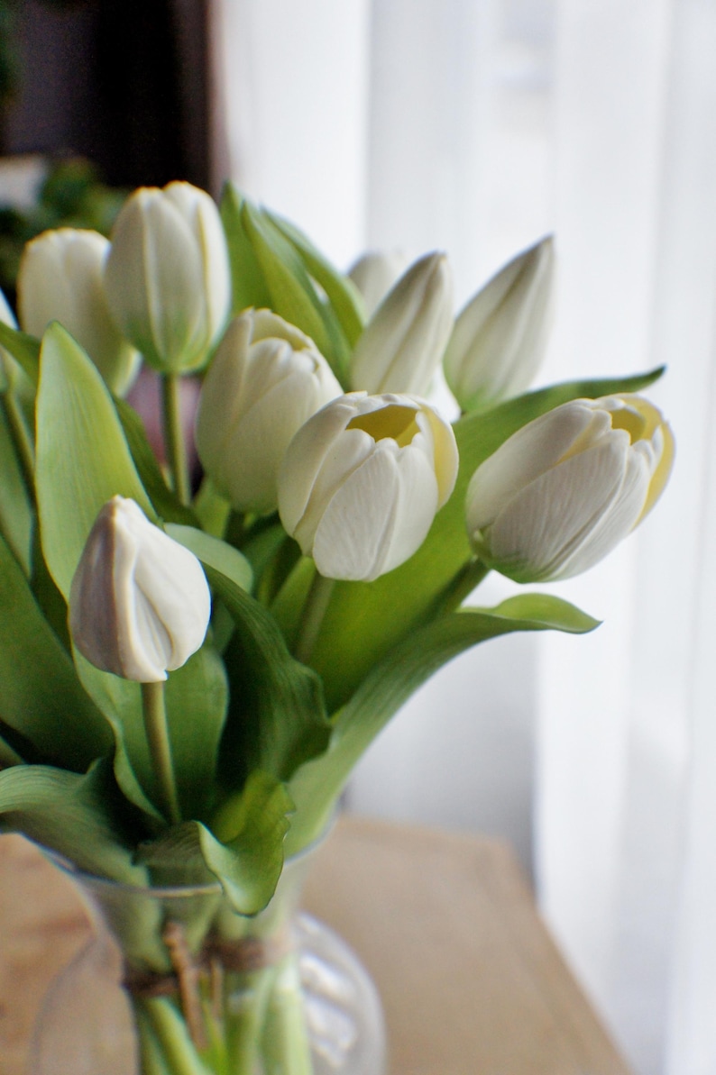 May include: A bunch of white tulips with green leaves in a clear glass vase. The tulip petals have a slight yellow hue at the centre. The vase is tied with twine.