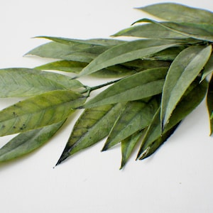 22&quot; White Willow stem, Green Stem, Greenery, Faux Willow Spray, Artificial Flowers, Floral stems, Flower Bunch, Home Accents, Wedding Greens