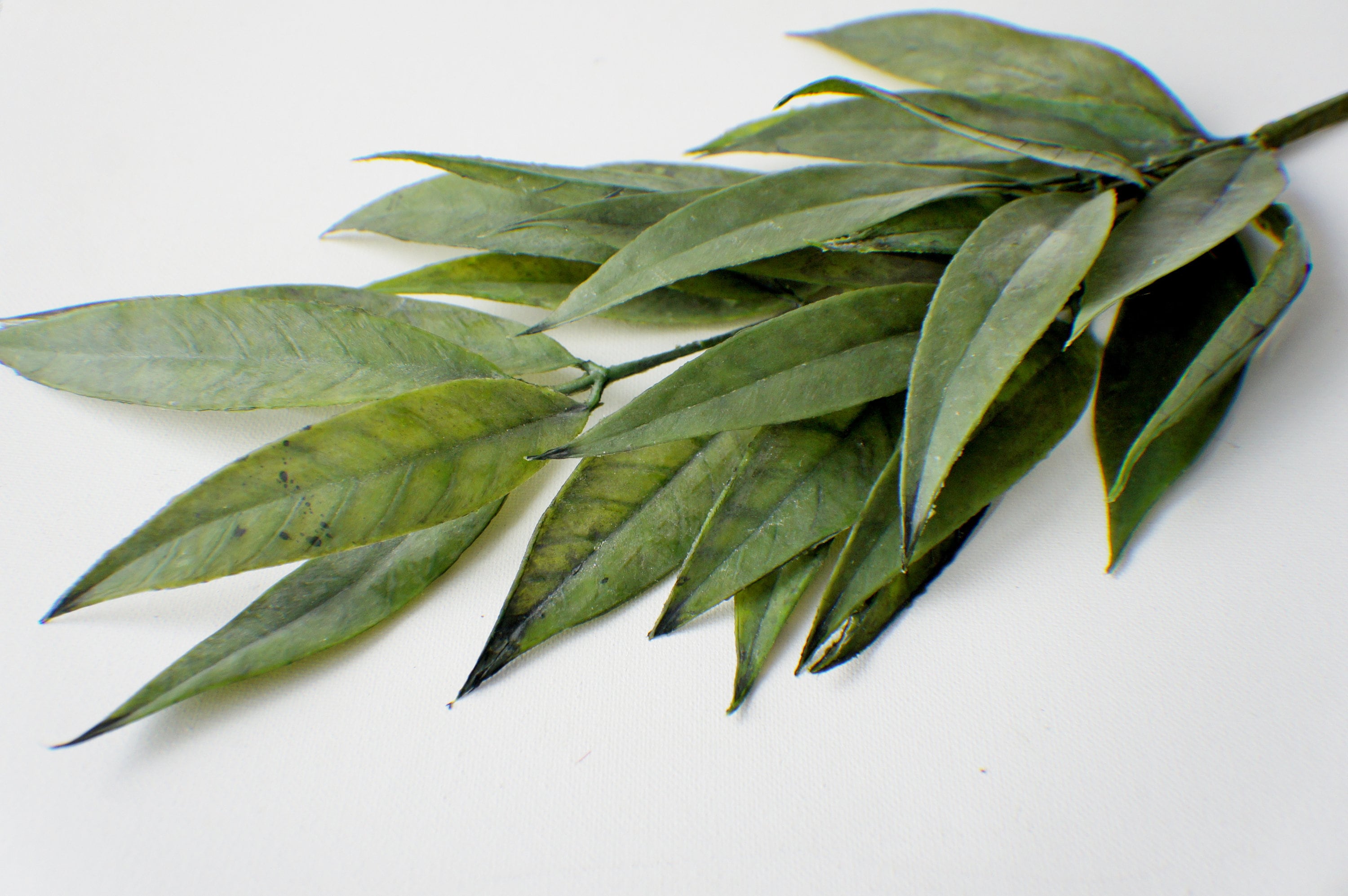 22" White Willow stem, Green Stem, Greenery, Faux Willow Spray, Artificial Flowers, Floral stems, Flower Bunch, Home Accents, Wedding Greens