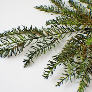 20&quot; Fresh Touch Cedar Spray Artificial Pine Spray, Stem Christmas Greenery, Winter Greenery Holiday Artificial Evergreen Cedar