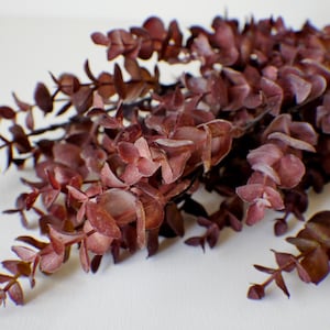 Può includere: Primo piano di un mazzo di rami di eucalipto finti. Le foglie sono di un colore bordeaux intenso, con un aspetto leggermente sbiadito. I gambi sono marrone scuro e la composizione è su uno sfondo bianco.