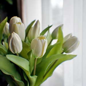 May include: A bunch of white tulips in a clear glass vase. The flowers have creamy white petals with subtle yellow accents and are surrounded by vibrant green leaves. The arrangement sits in front of a soft, white curtain.