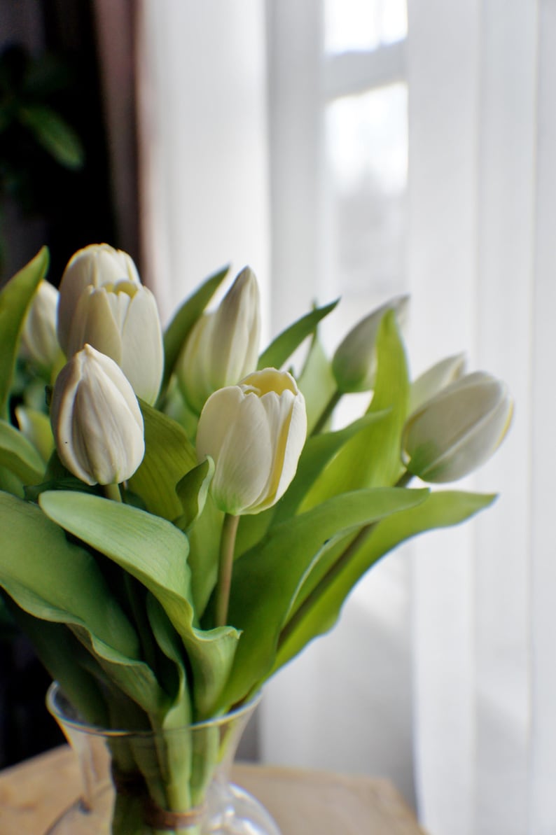 May include: A bunch of white tulips in a clear glass vase. The flowers have creamy white petals with subtle yellow accents and are surrounded by vibrant green leaves. The arrangement sits in front of a soft, white curtain.
