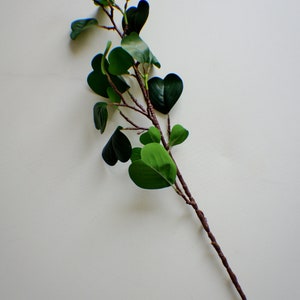 20&quot; Heart Eucalyptus Stem: Faux Greenery Bouquet