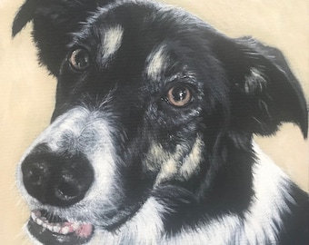 Pet Portrait commisions - Acrylic on canvas original artwork.