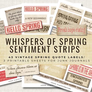 Può includere: Una collezione di etichette di citazioni primaverili vintage con frasi come "Hello Spring" e "Fresh hope rising". Le etichette sono progettate per i junk journal e presentano vari font e colori, con un focus su un'estetica rustica.