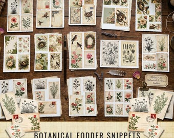 Botanical Fodder Snippets | Vintage Bird Junk Journal Kit| Fussy Cut Birds Flowers | Digital Download
