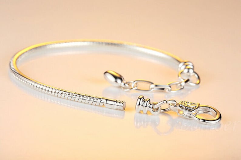 May include: A silver snake chain bracelet with a clasp closure. The bracelet is open and the clasp is visible.
