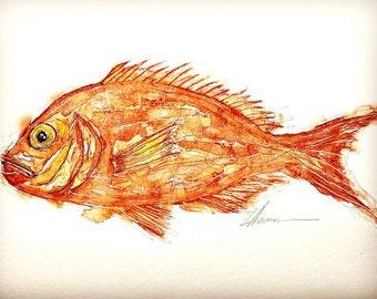 SOLD - Red Snapper - SOLD