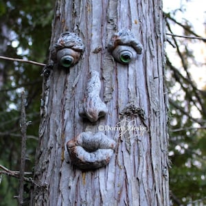 Forrest Stump - Concrete Tree Face, Whimsical Tree Art, Unique Birthday Gift, Glass Eyes, Garden Sculpture, Garden Art, Outdoor Tree Decor