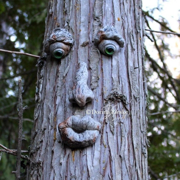 Souche Forrest - Visage d'arbre en béton, art d'arbre fantaisiste, cadeau d'anniversaire unique, yeux en verre, sculpture de jardin, art de jardin, décoration d'arbre en plein air