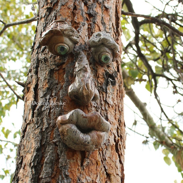 Tree Face - Etsy