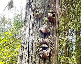 Elwood - Concrete Tree Face,Moms Gift, Gardeners Gift, Garden Sculpture, Dads Gift, Glass Eye Tree Face, Garden Art, Forest Face, Yard Art