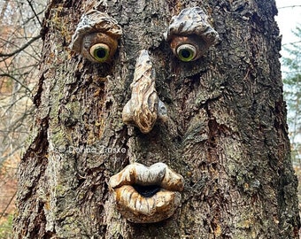 Forrest Stump - Concrete Tree Face, Mother’s Day Gift, Birthday Gifts, Glass Eye Color Options, Whimsical Forest Faces, Unique Garden Art