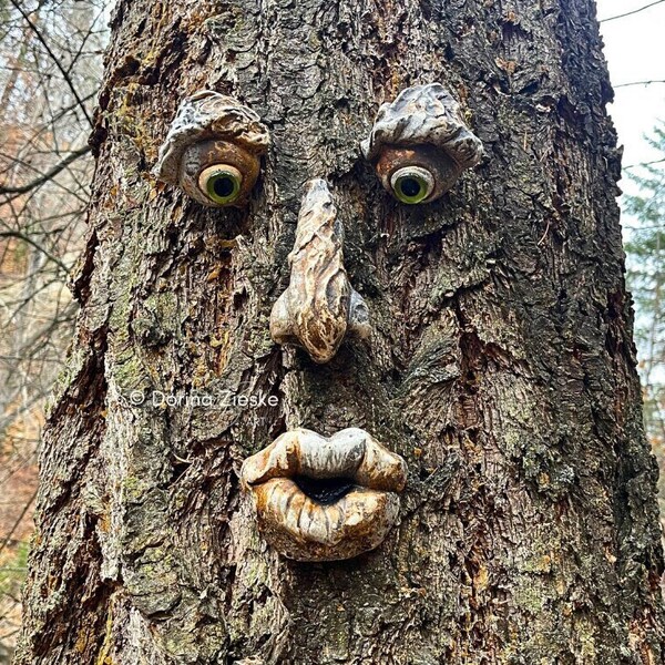 Forrest Stump - Betonnen boomgezicht, Moederdagcadeau, verjaardagscadeaus, glazen oogkleuropties, grillige bosgezichten, unieke tuinkunst