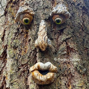 May include: A decorative tree face sculpture attached to a textured tree trunk, featuring two eyes with green irises, a prominent nose, and puckered lips. The sculpture has a weathered, earthy finish. The text Dorina Zieske is visible on the bark.