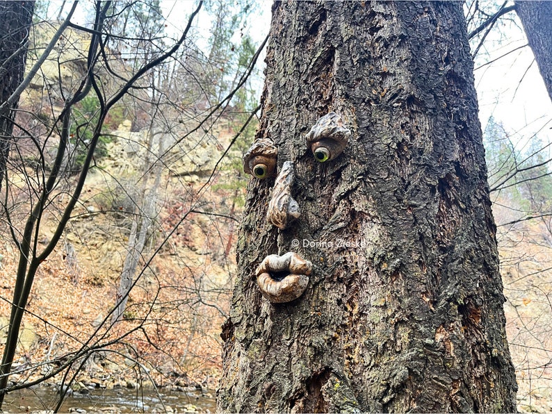 Forrest Stump Concrete Tree Face, Mothers Day Gift, Birthday Gifts,, Glass Eye Color Options, Whimsical Forest Faces, Unique Garden Art image 7