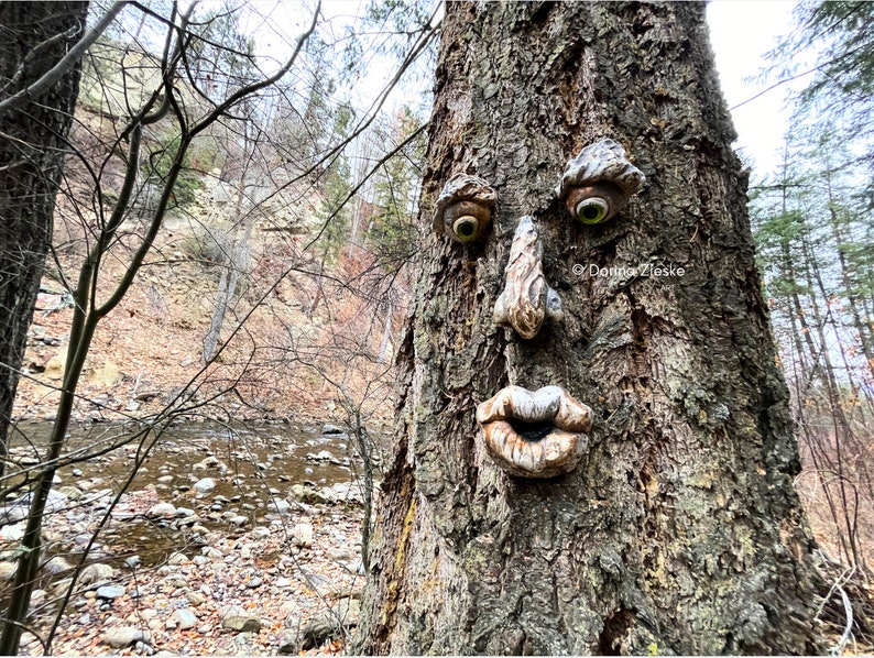 Forrest Stump Concrete Tree Face, Mothers Day Gift, Birthday Gifts,, Glass Eye Color Options, Whimsical Forest Faces, Unique Garden Art image 10