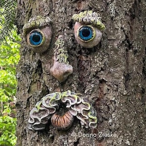 Buttonwood - Concrete Tree Face, Whimsical Forest Face, Birthday Gift, Fun Garden Gift , Garden Sculpture, Nature Lovers Gift, Yard Art