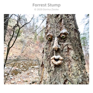 Forrest Stump Concrete Tree Face, Mothers Day Gift, Birthday Gifts,, Glass Eye Color Options, Whimsical Forest Faces, Unique Garden Art image 3