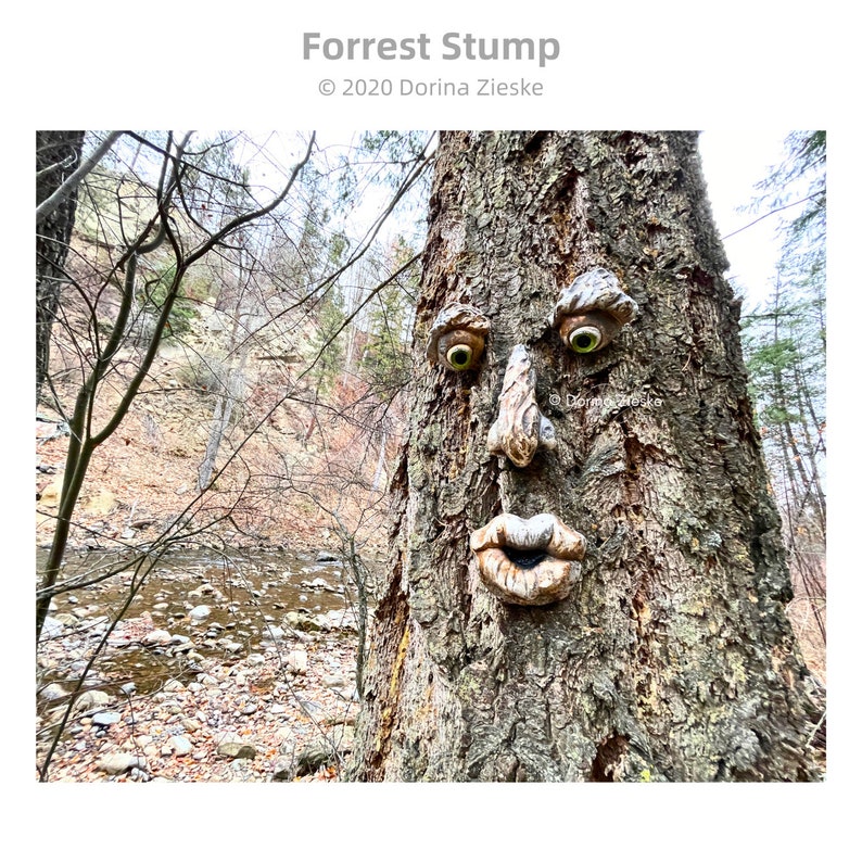 Forrest Stump Concrete Tree Face, Mothers Day Gift, Birthday Gifts,, Glass Eye Color Options, Whimsical Forest Faces, Unique Garden Art image 3