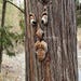 The ORIGINAL & GENUINE Mr. Grumpy Stump Tree Face Gift for Dad Fun ...