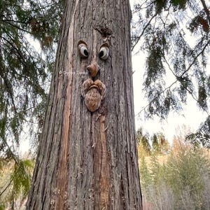The ORIGINAL & GENUINE Mr. Grumpy Stump Tree Face Gift for Dad Fun ...
