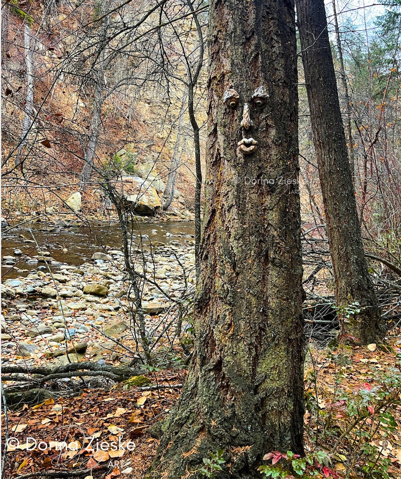 Forrest Stump Concrete Tree Face, Mothers Day Gift, Birthday Gifts,, Glass Eye Color Options, Whimsical Forest Faces, Unique Garden Art image 9