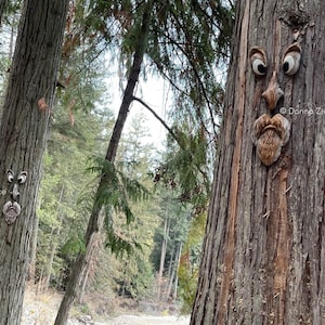 The ORIGINAL & GENUINE Mr. Grumpy Stump Tree Face Gift for Dad Fun ...