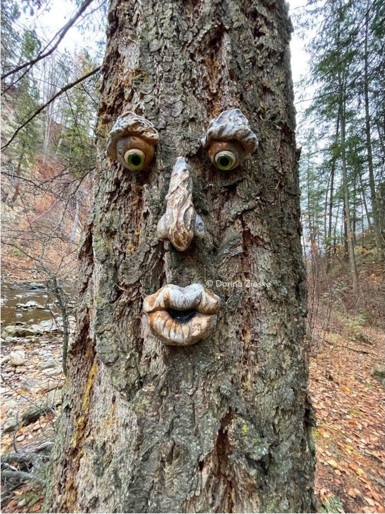 Forrest Stump Concrete Tree Face, Mothers Day Gift, Birthday Gifts,, Glass Eye Color Options, Whimsical Forest Faces, Unique Garden Art image 5