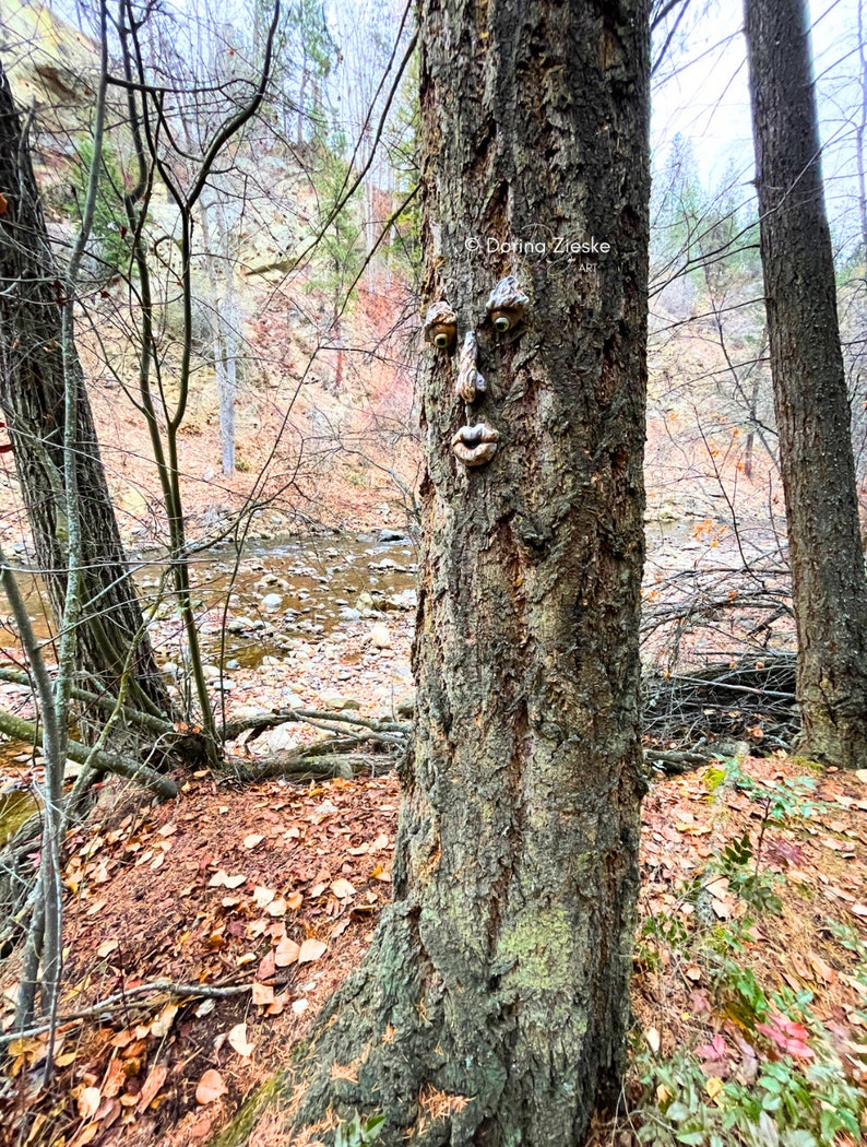 Forrest Stump Concrete Tree Face, Mothers Day Gift, Birthday Gifts,, Glass Eye Color Options, Whimsical Forest Faces, Unique Garden Art image 6