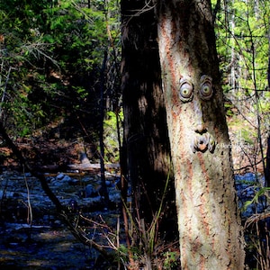 Ole Treemun - Large Concrete Tree Face Perfect Gift Birthday Gift ...