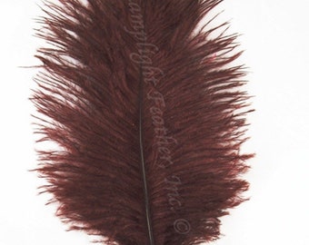 20 inch feathers