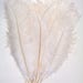 Ostrich Feathers 8-12 inch (Select Color) per 12 - Lamplight Feather