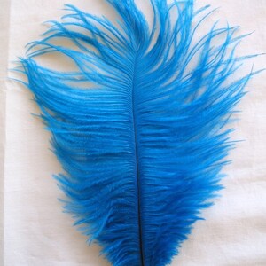 Turquoise Ostrich Feather Seconds 12-16 per 6