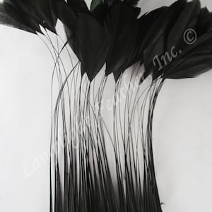 May include: A bunch of black feathers with long stems, tied together at the base. The feathers are arranged in a fan shape, with the tips of the feathers pointing upwards.